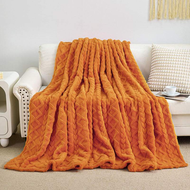 Aganear Fleece Throw Blanket - Cozy Soft Lightweight Fuzzy Throw Blanket for Women Portable Throw Blankets for Couch, Warm Present for Birthday, Christmas, Halloween, Housewarming(50"x60", Khaki)