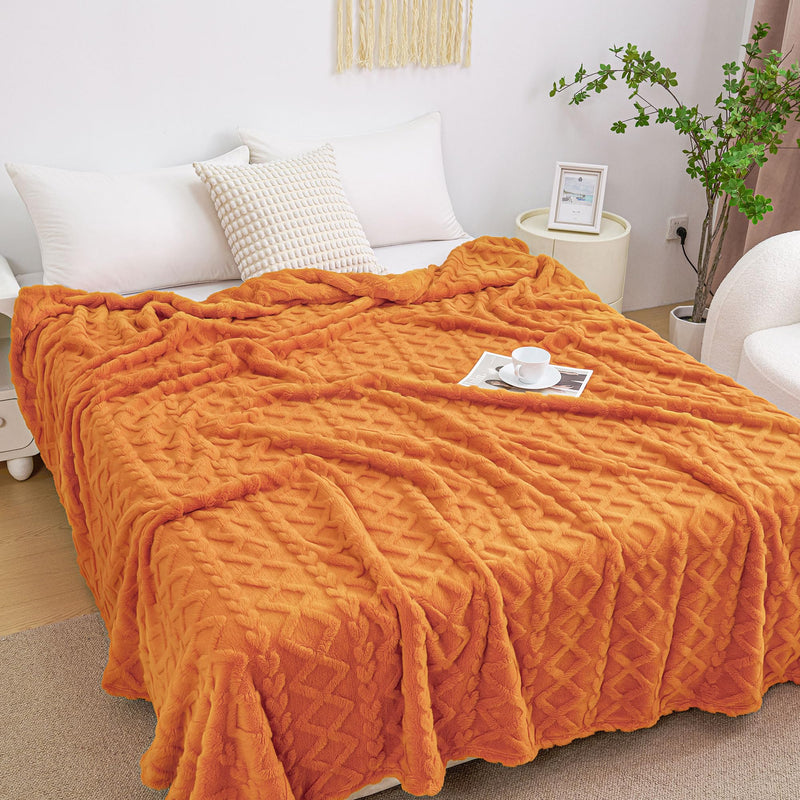 Aganear Fleece Throw Blanket - Cozy Soft Lightweight Fuzzy Throw Blanket for Women Portable Throw Blankets for Couch, Warm Present for Birthday, Christmas, Halloween, Housewarming(50"x60", Khaki)