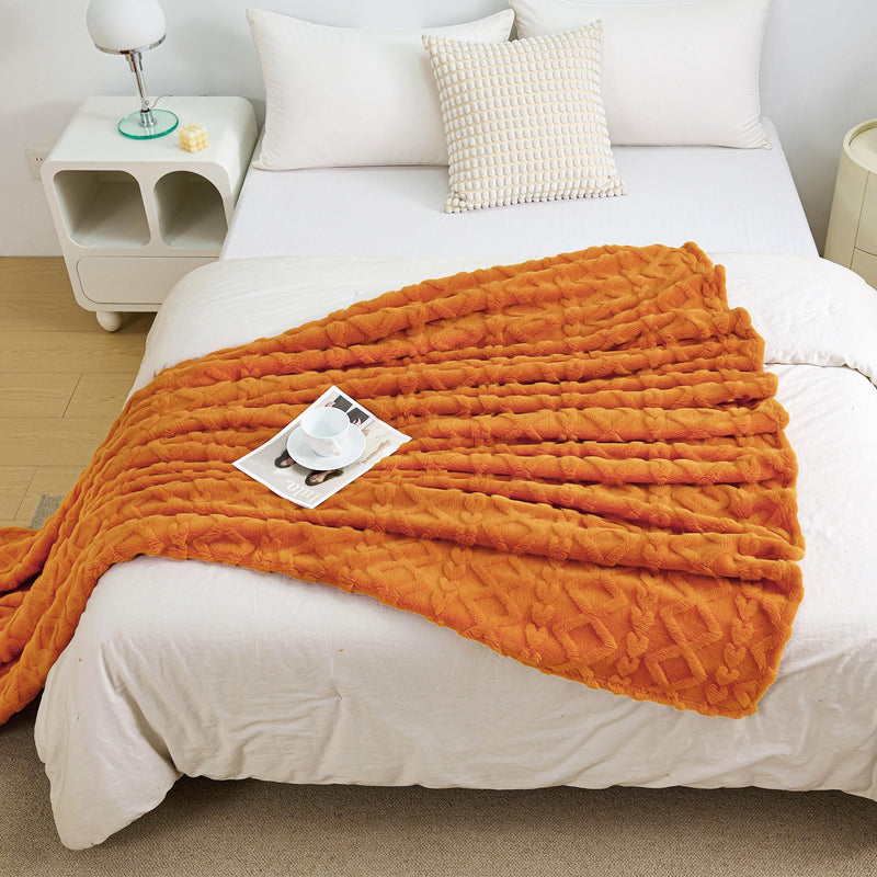 Aganear Fleece Throw Blanket - Cozy Soft Lightweight Fuzzy Throw Blanket for Women Portable Throw Blankets for Couch, Warm Present for Birthday, Christmas, Halloween, Housewarming(50"x60", Khaki)
