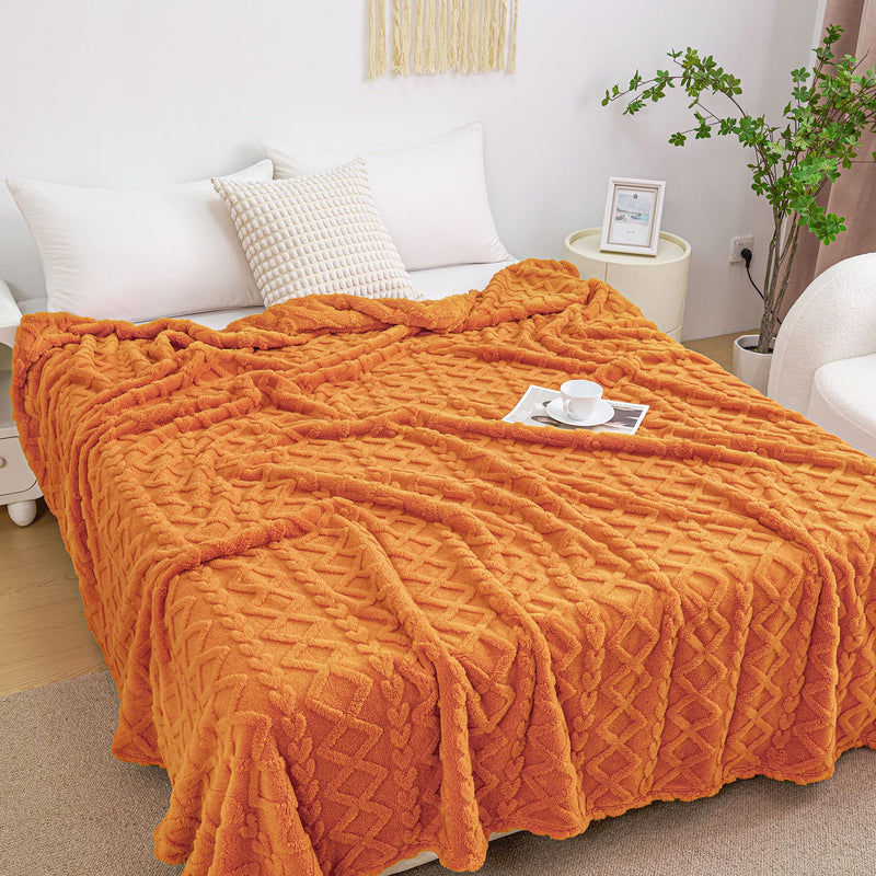 Aganear Fleece Throw Blanket - Cozy Soft Lightweight Fuzzy Throw Blanket for Women Portable Throw Blankets for Couch, Warm Present for Birthday, Christmas, Halloween, Housewarming(50"x60", Khaki)